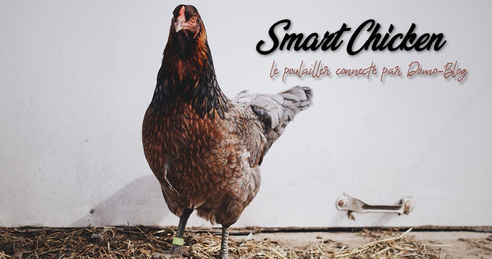 smart-chicken-poulailler-connecte-domotique-iot-eedomus-maison