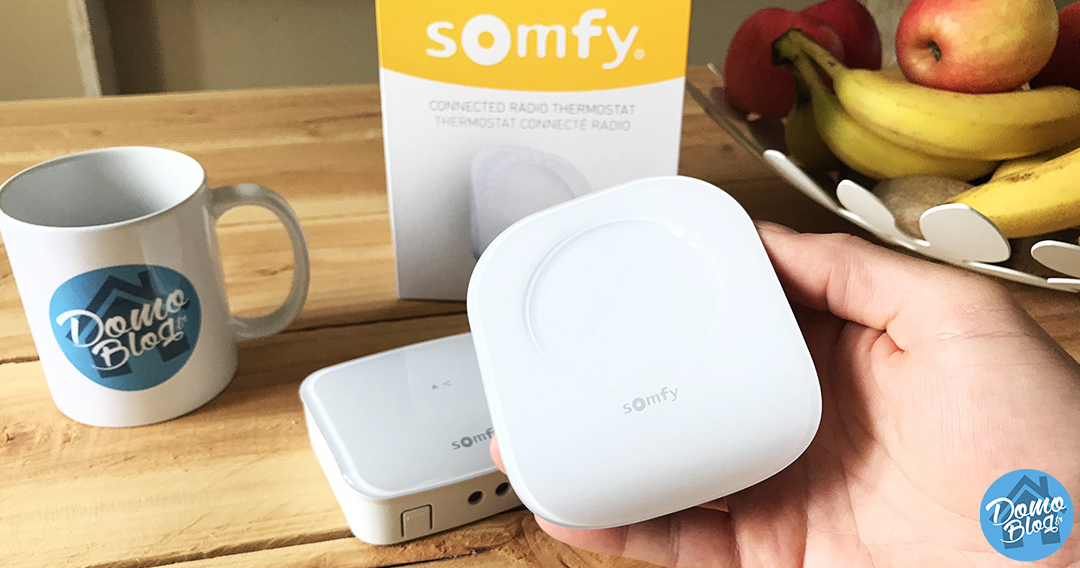 Somfy Thermostat Wifi - Radio Sans Fil Connectée - Prix