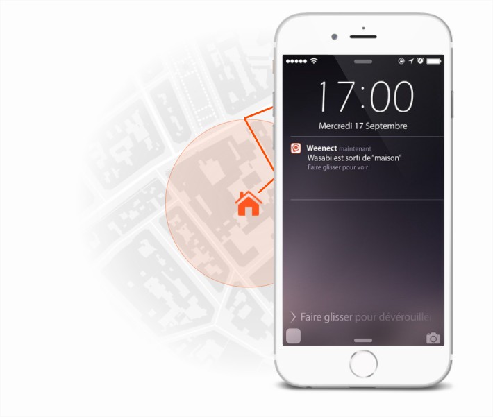 weenect-cat-traceur-gps-chat