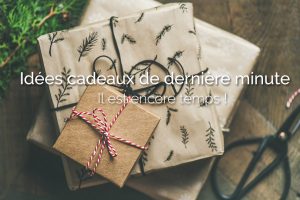 idee-cadeaux-derniere-minute-amazon-domotique-smarthome