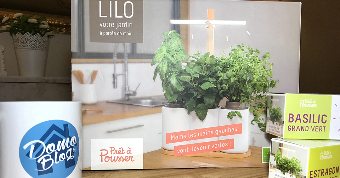 Lilo, le potager d'intérieur autonome de Prêt à Pousser 