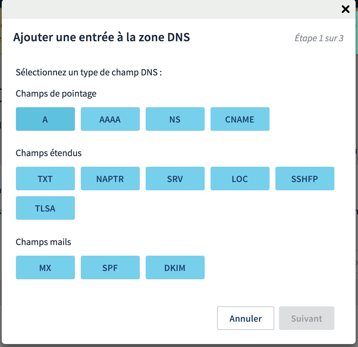 zone-dns-a-entree-ovh