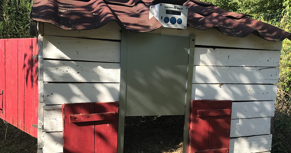 chicken-guard-installation-terminee