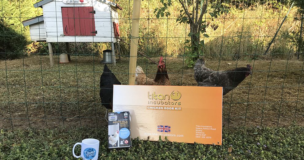 Automatisez La Porte Du Poulailler Avec Chicken Guard Et Protégez