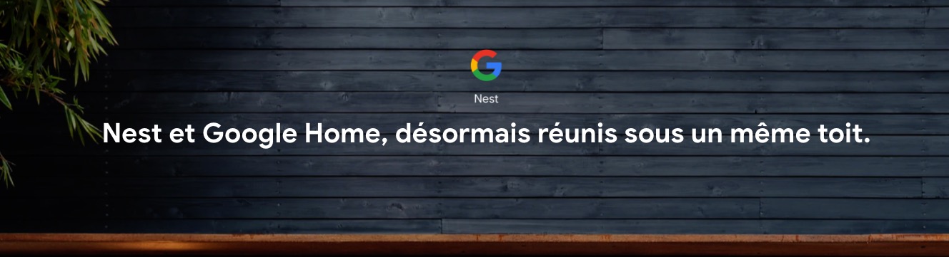 Nest-google-fusion