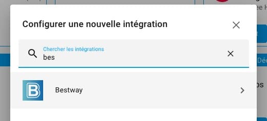 integration-home-assistant-bestway-installation