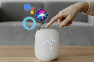 assistants-connecte-voczux-alexa-siri-google-home-nest