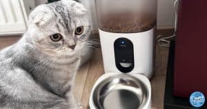 aqara-test-distributeur-croquettes-chat-chien-smart-pet-feeder-c1
