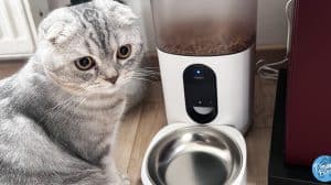 aqara-test-distributeur-croquettes-chat-chien-smart-pet-feeder-c1