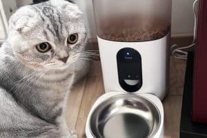 aqara-test-distributeur-croquettes-chat-chien-smart-pet-feeder-c1