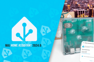 domotique-home-assistant-maj-detail-juin-2024