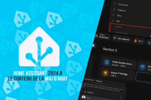 home-assistant-maj-2024-7-aout