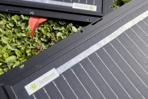 test-sunflower-solar-panneaux-kit-balcon-440W-batterie