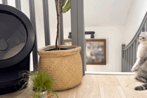 touky-observe-litir-ere-robot-tourner