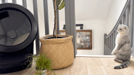 touky-observe-litir-ere-robot-tourner