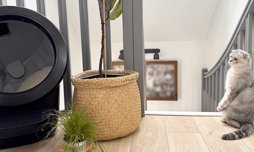 touky-observe-litir-ere-robot-tourner