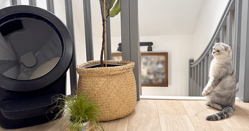 touky-observe-litir-ere-robot-tourner